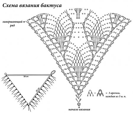 Бактус крючком Бактус крючком